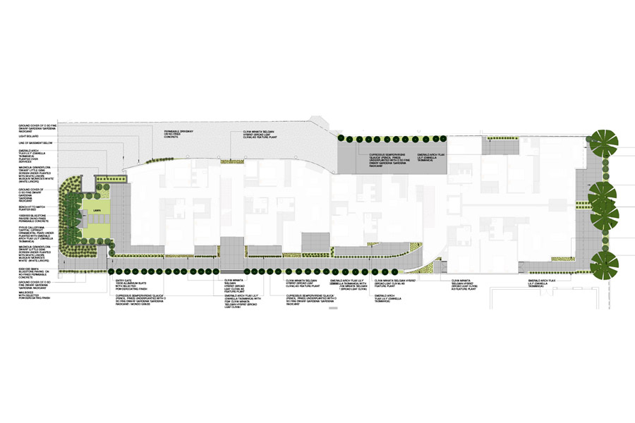 Riversdale Road, Hawthorn