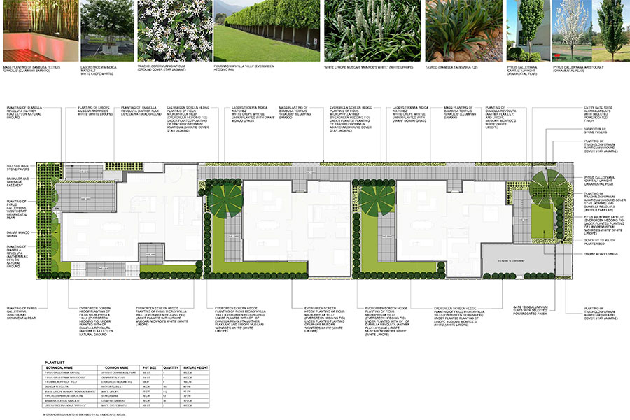 Roslyn Street, Brighton